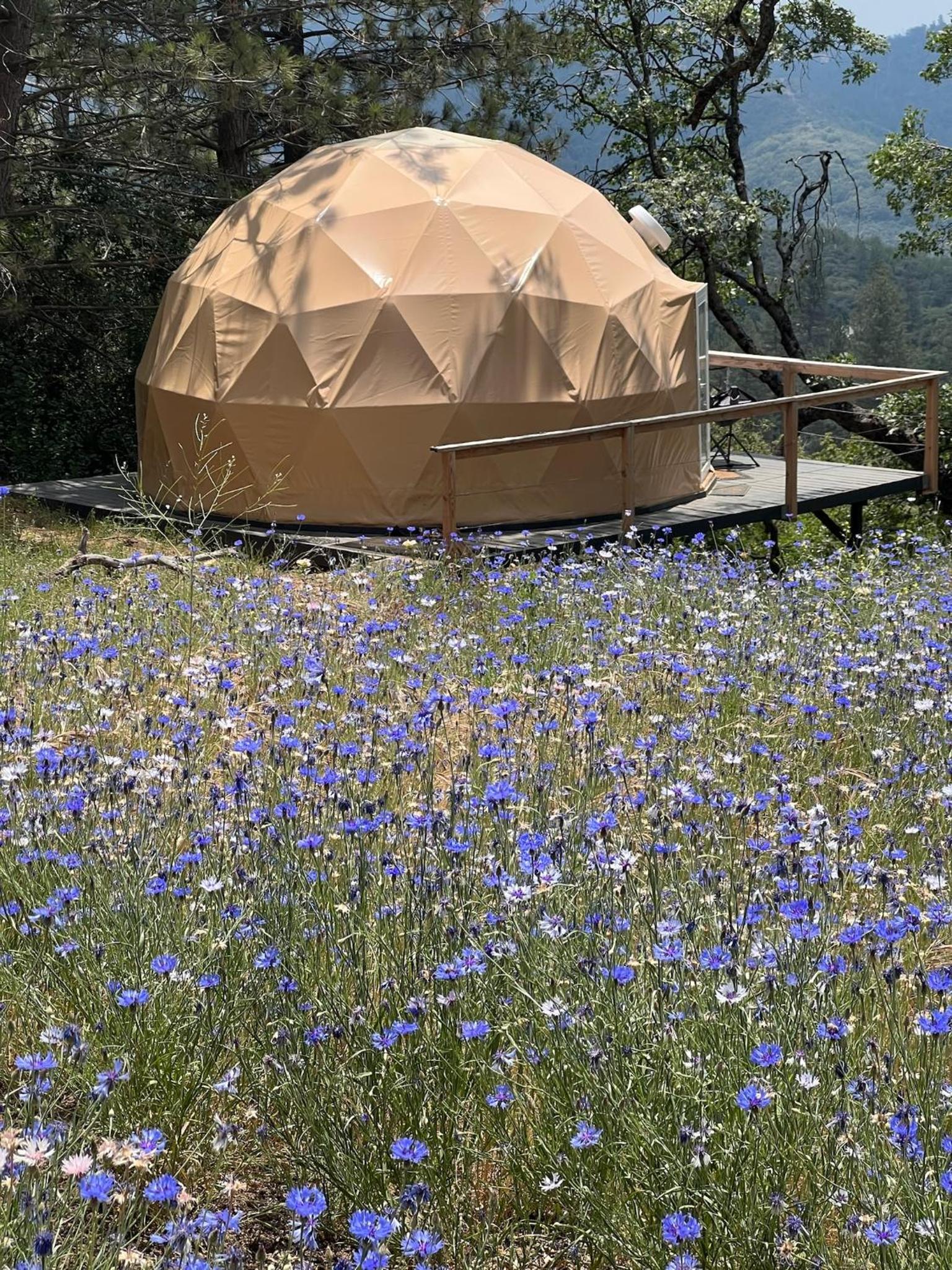 Glamping Dome 1 - 10 minutes from Kings Canyon view 3