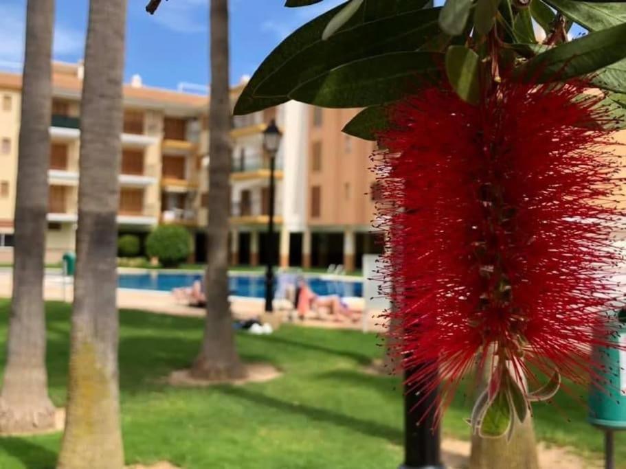 O&K Apartament Puerto de Mazarron