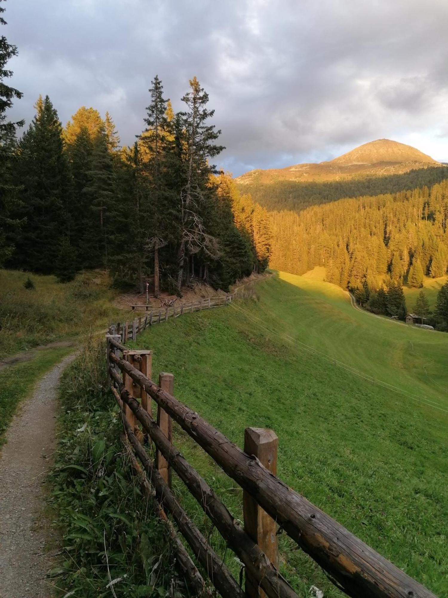 Photo 42