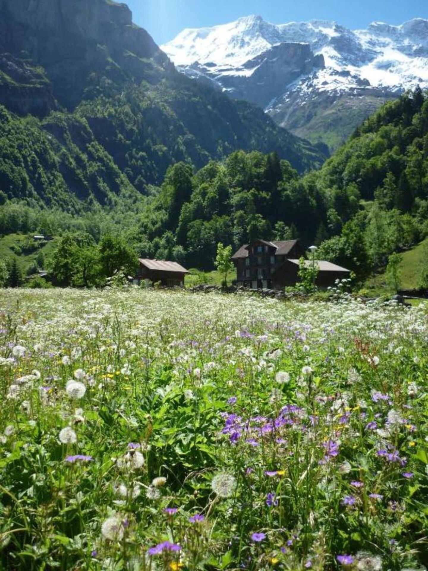 ALPENHOF Mountain Lodge