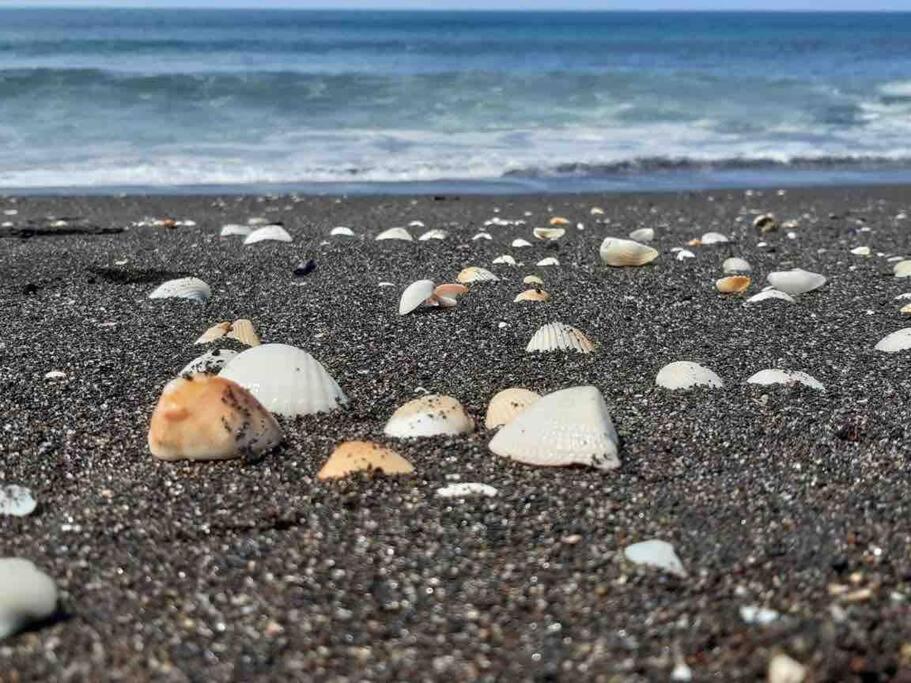 Photo 38