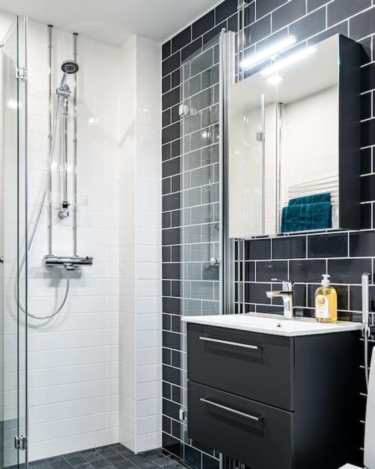 Renovated Studio in central