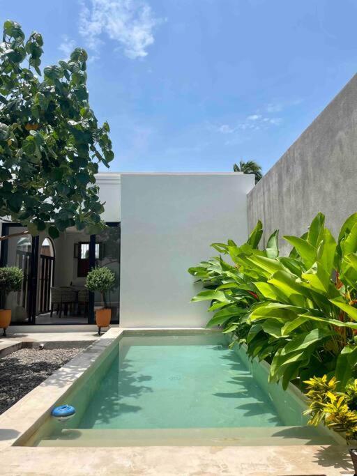 Villa Paraíso Costalegre view 2