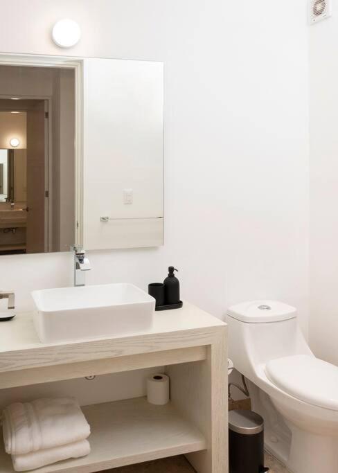 Charming Aparment in the vibrant Condesa (Amsterdam Av.)