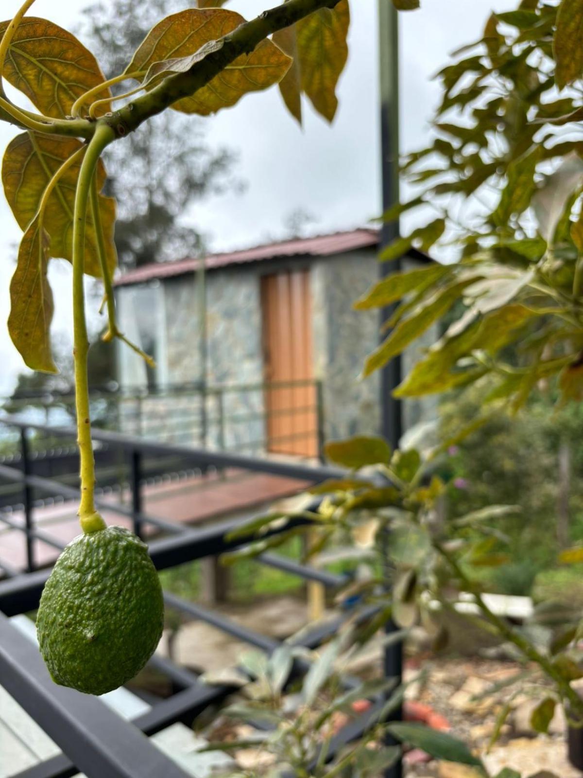 Luz de Luna Glamping