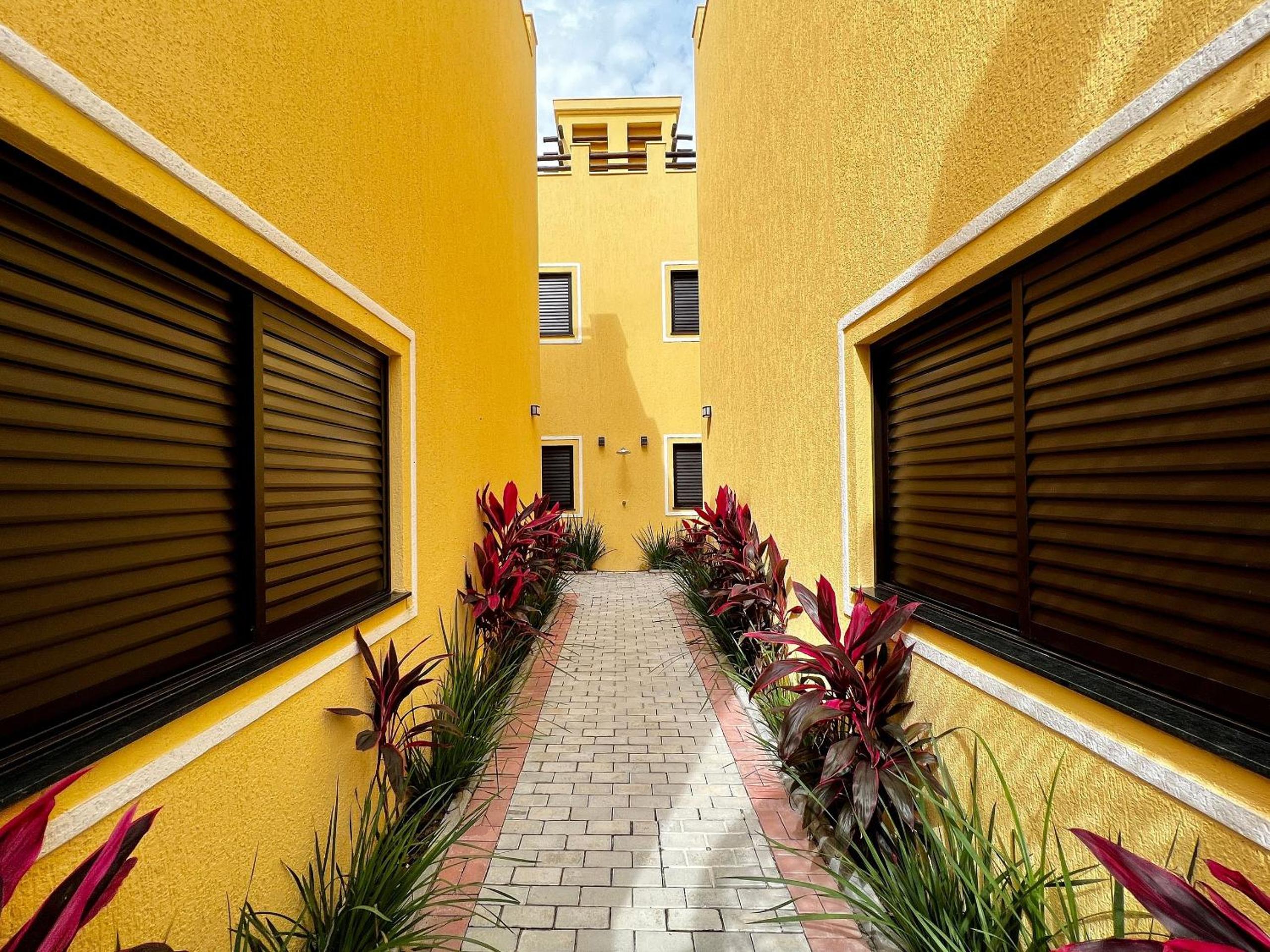 Private pool, 250 meters from the beach