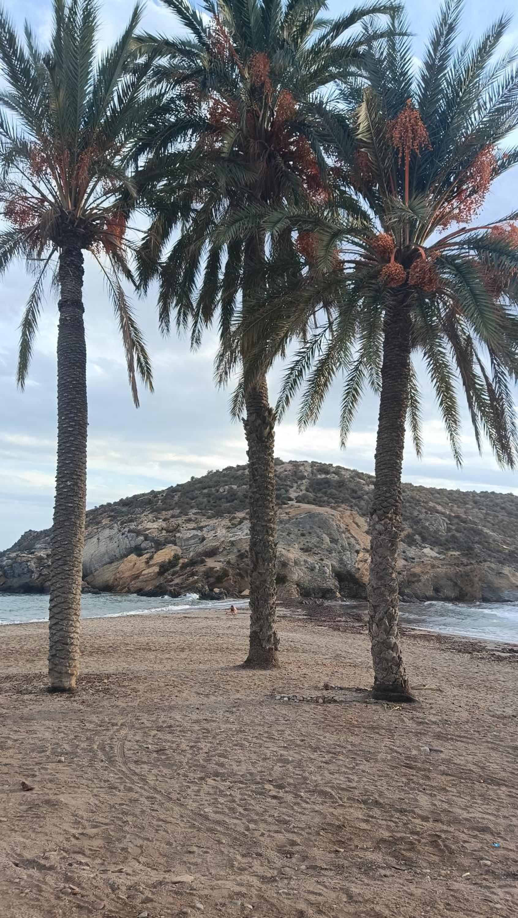 O&K Apartament Puerto de Mazarron