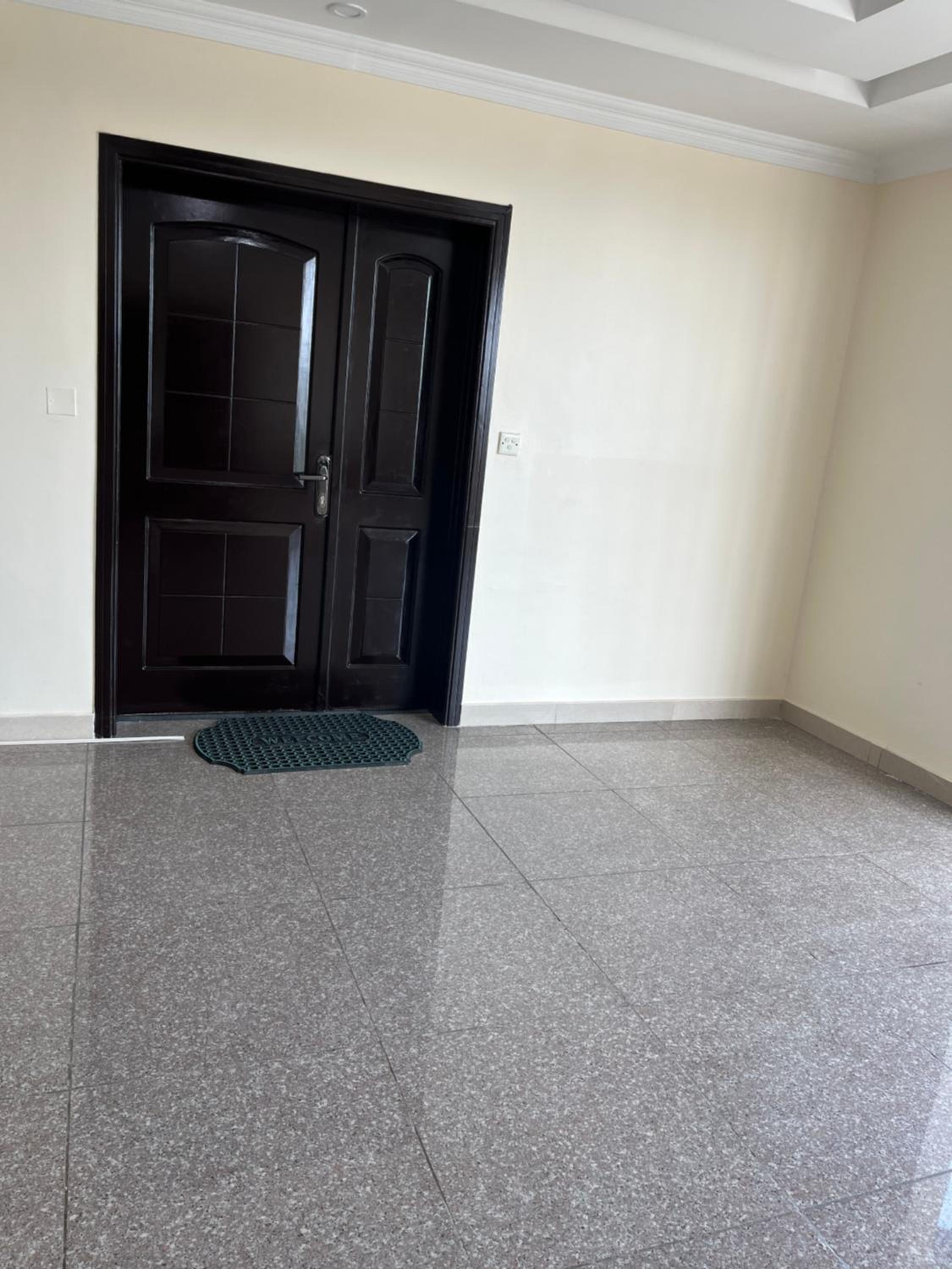 Mikocheni city view apartment
