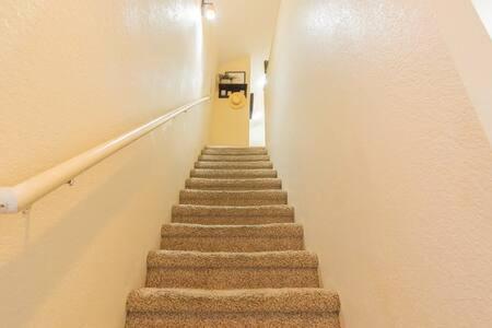Photo 53