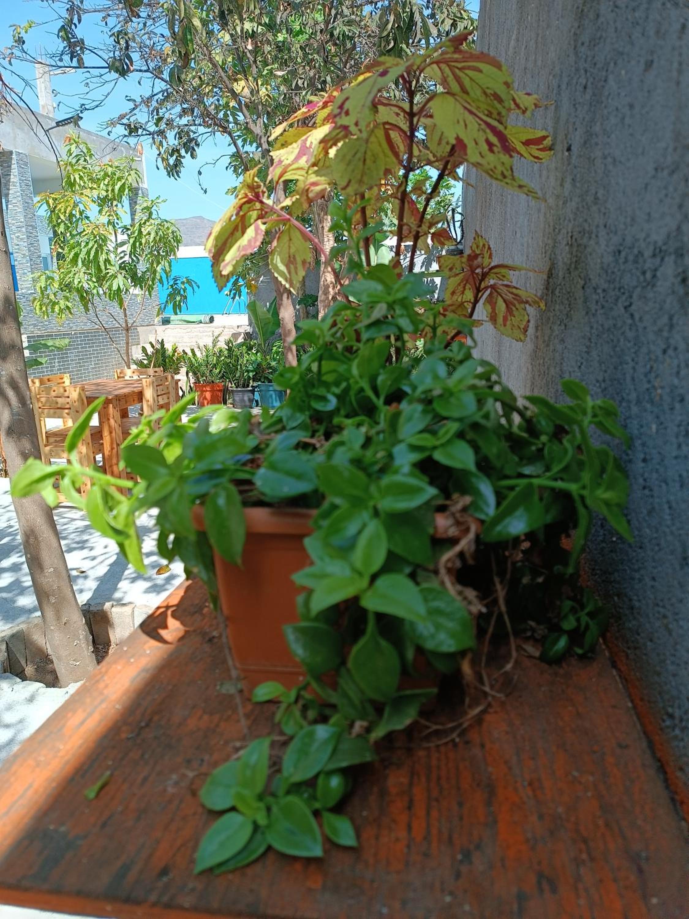 Espaço- Vila Verde