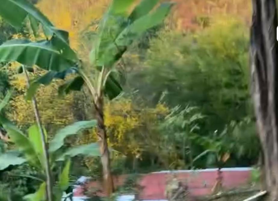 ecohotel el ancla