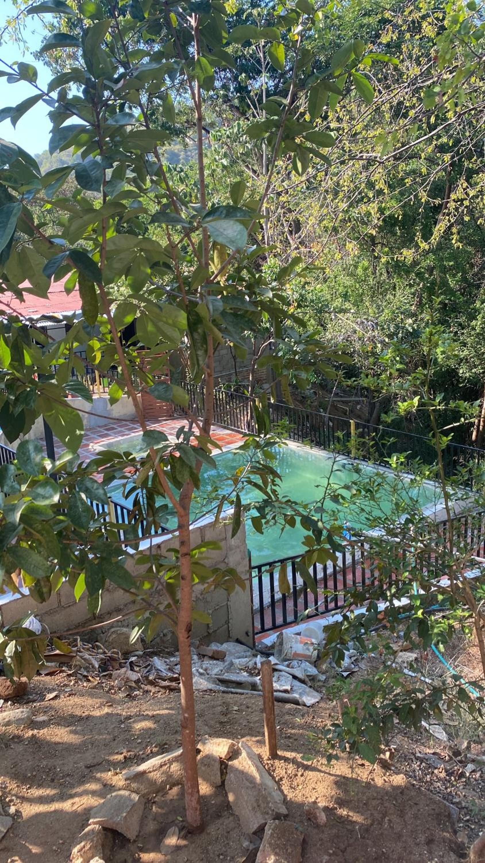 ecohotel el ancla