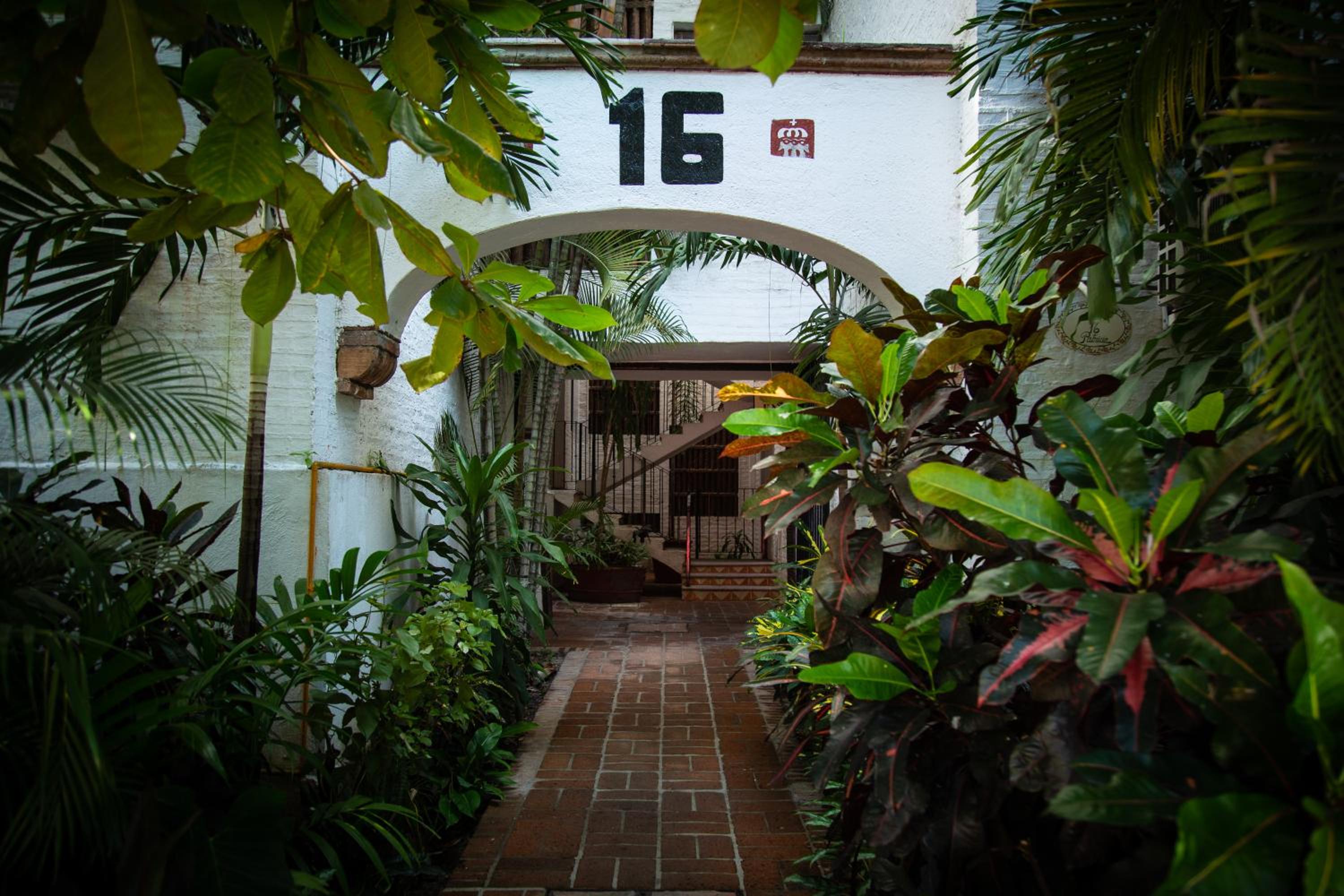 Photo 41