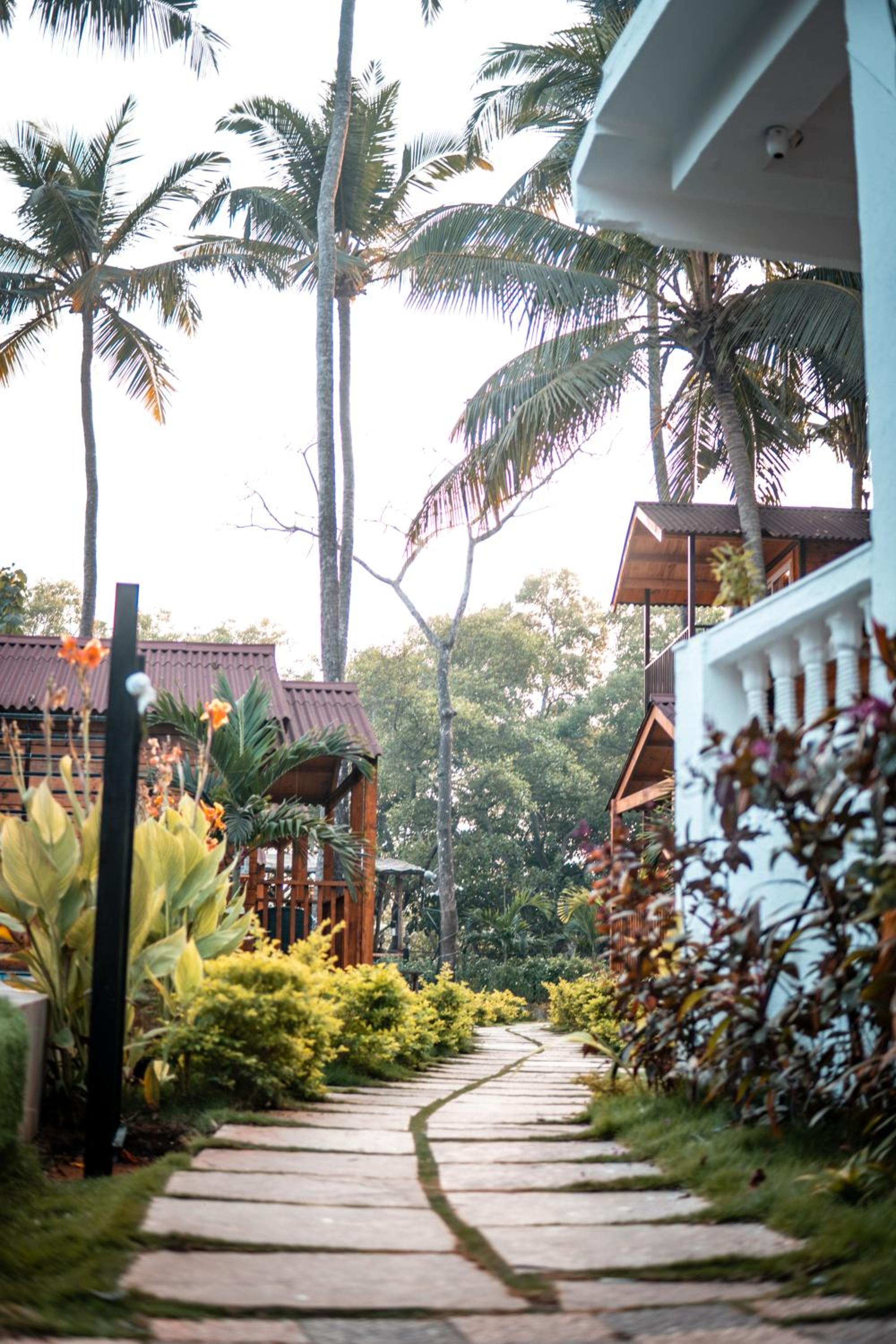 Trideus Tranquil riverside resort -Saipem, Candolim view 4