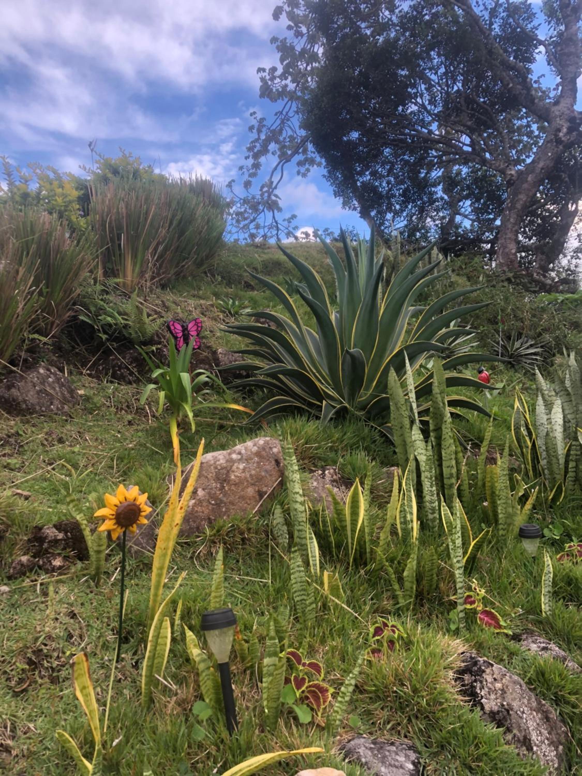 Photo 42
