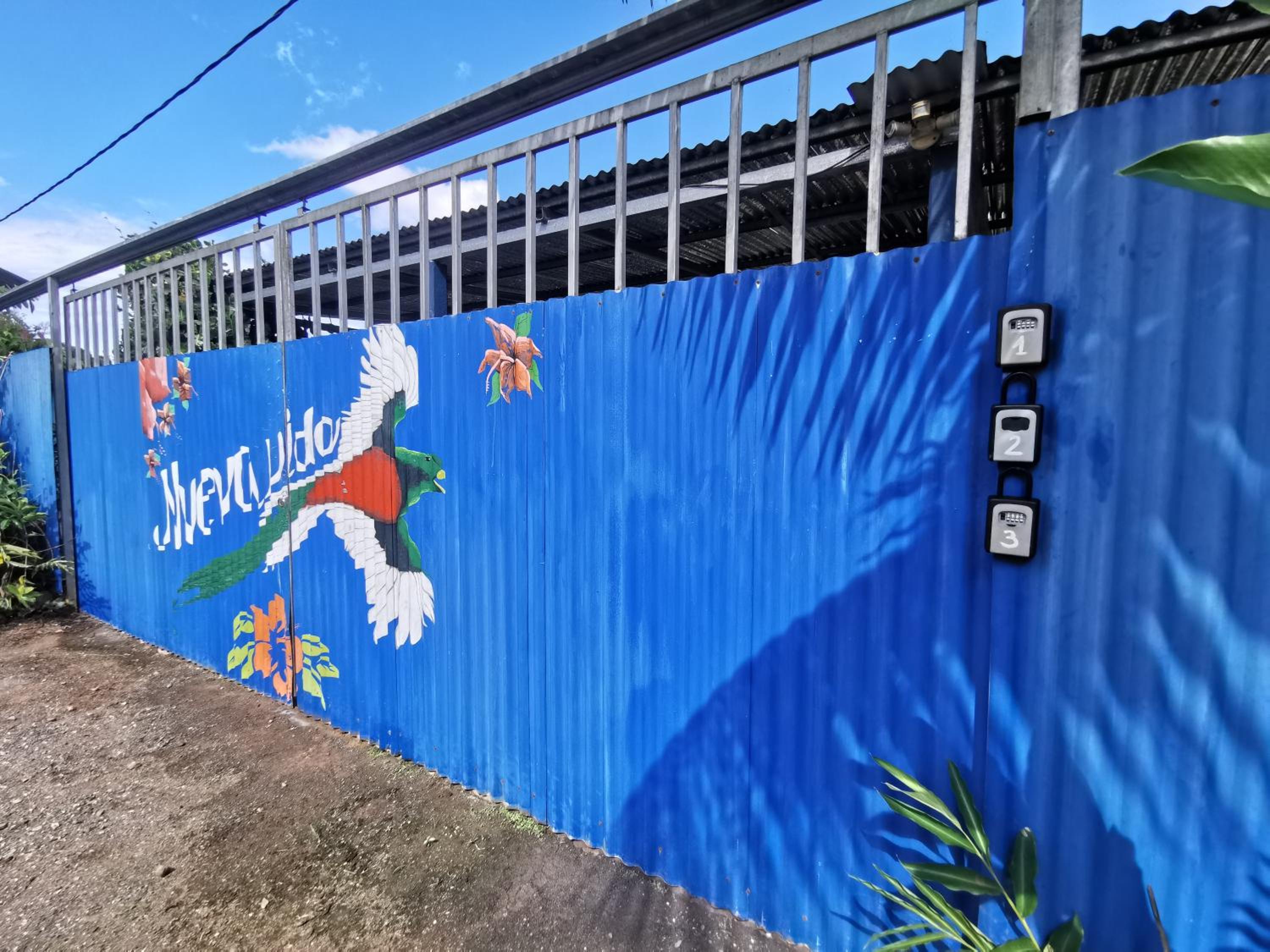 Nueva Vida Birding Paradise