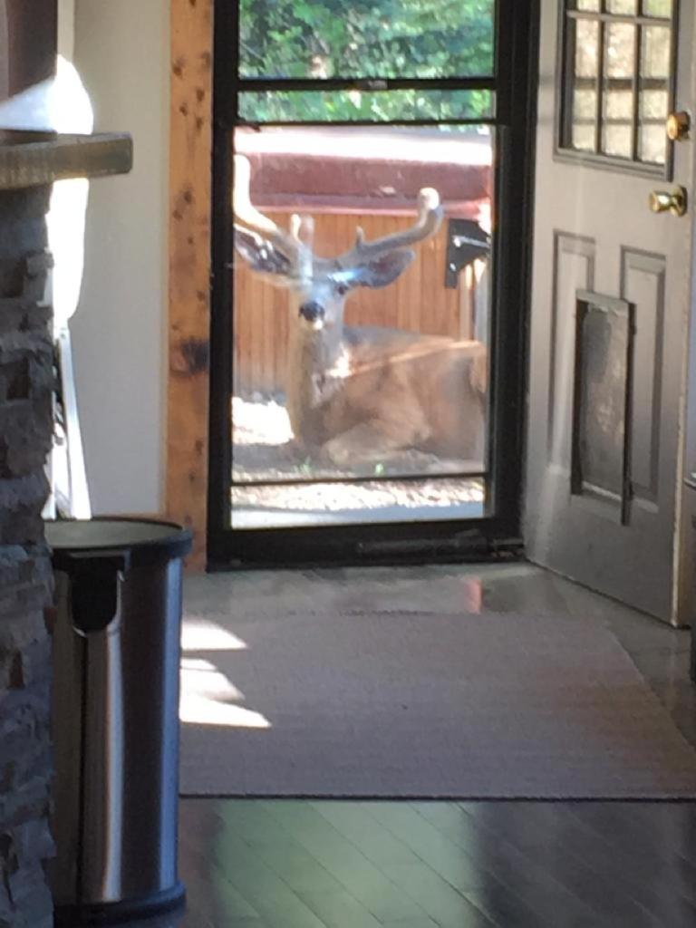 Photo 24