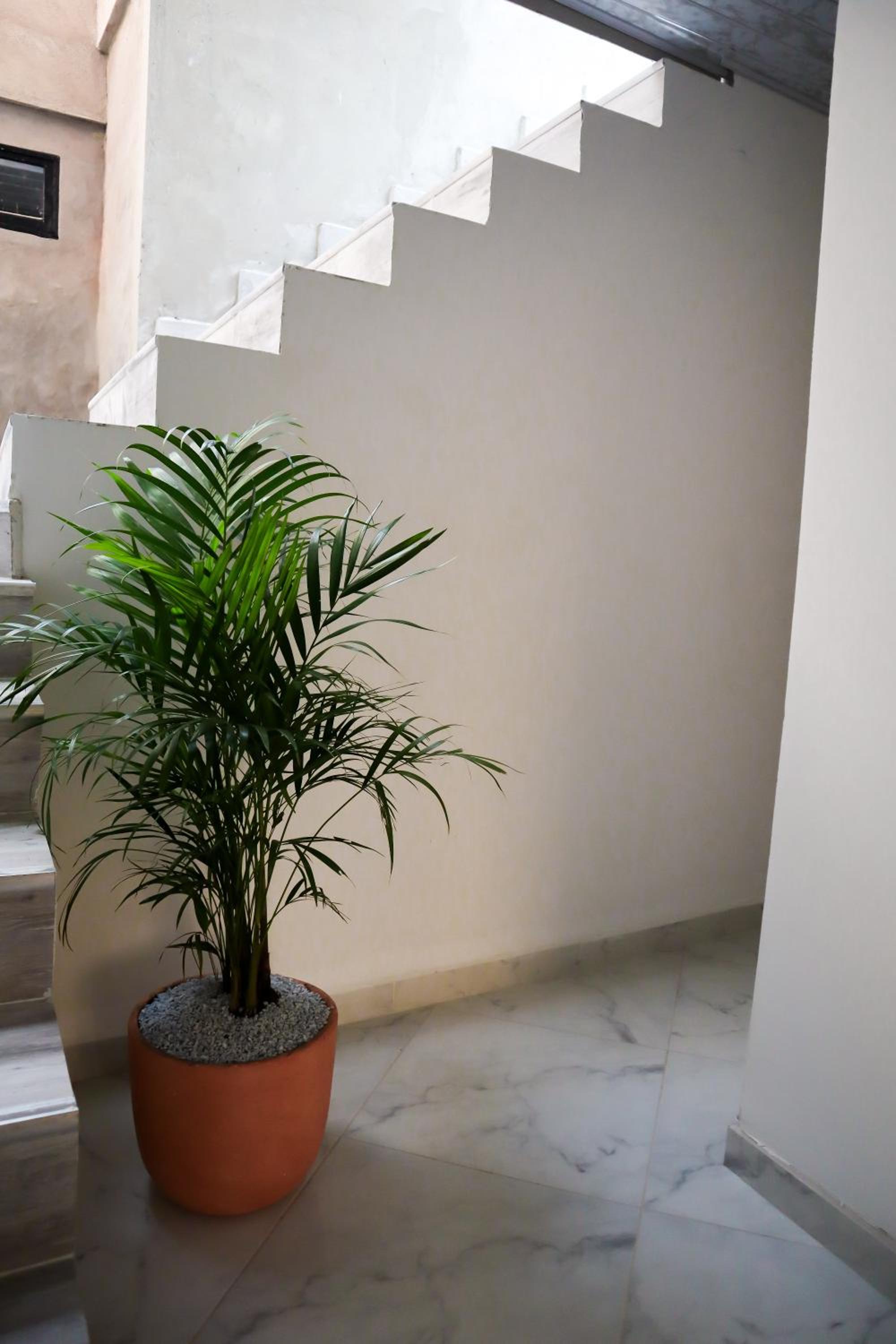 Bethel Apartamentos Doradal