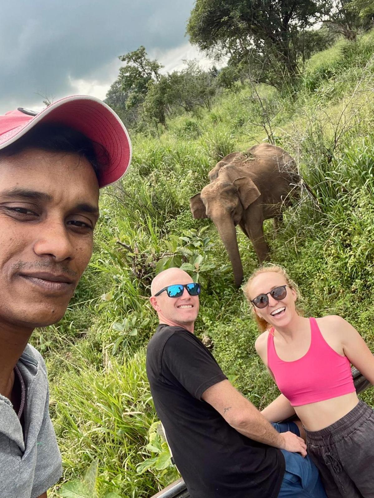 Elephant safari Lodge sigiriya junction
