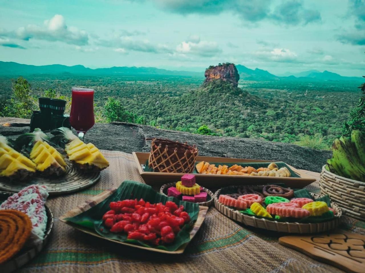 Elephant safari Lodge sigiriya junction