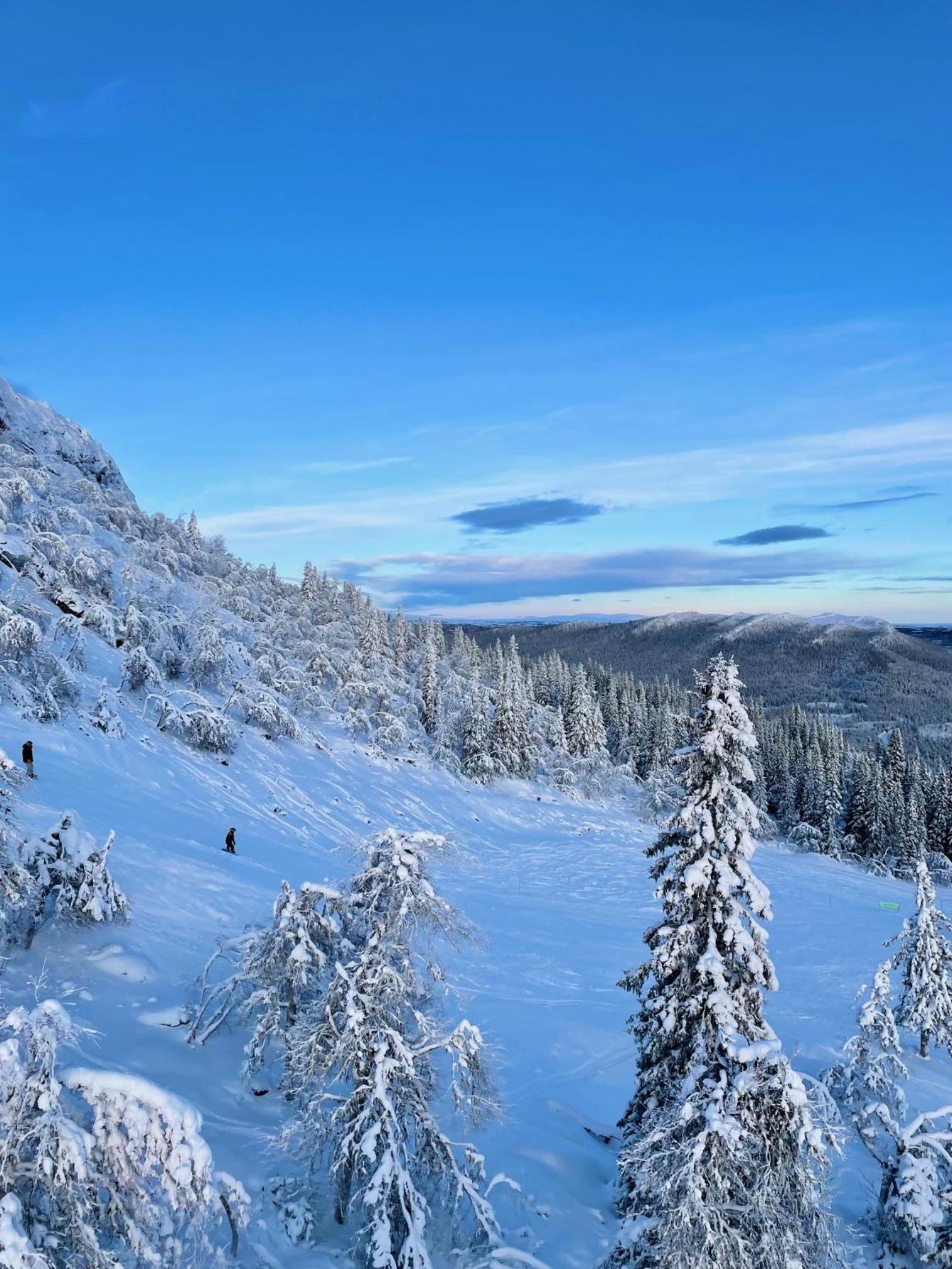 Ömsedal Funäsdalen view 4
