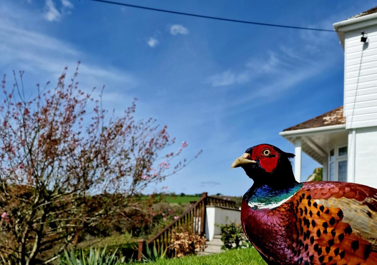 4 Bed in Pentewan oc-edghil