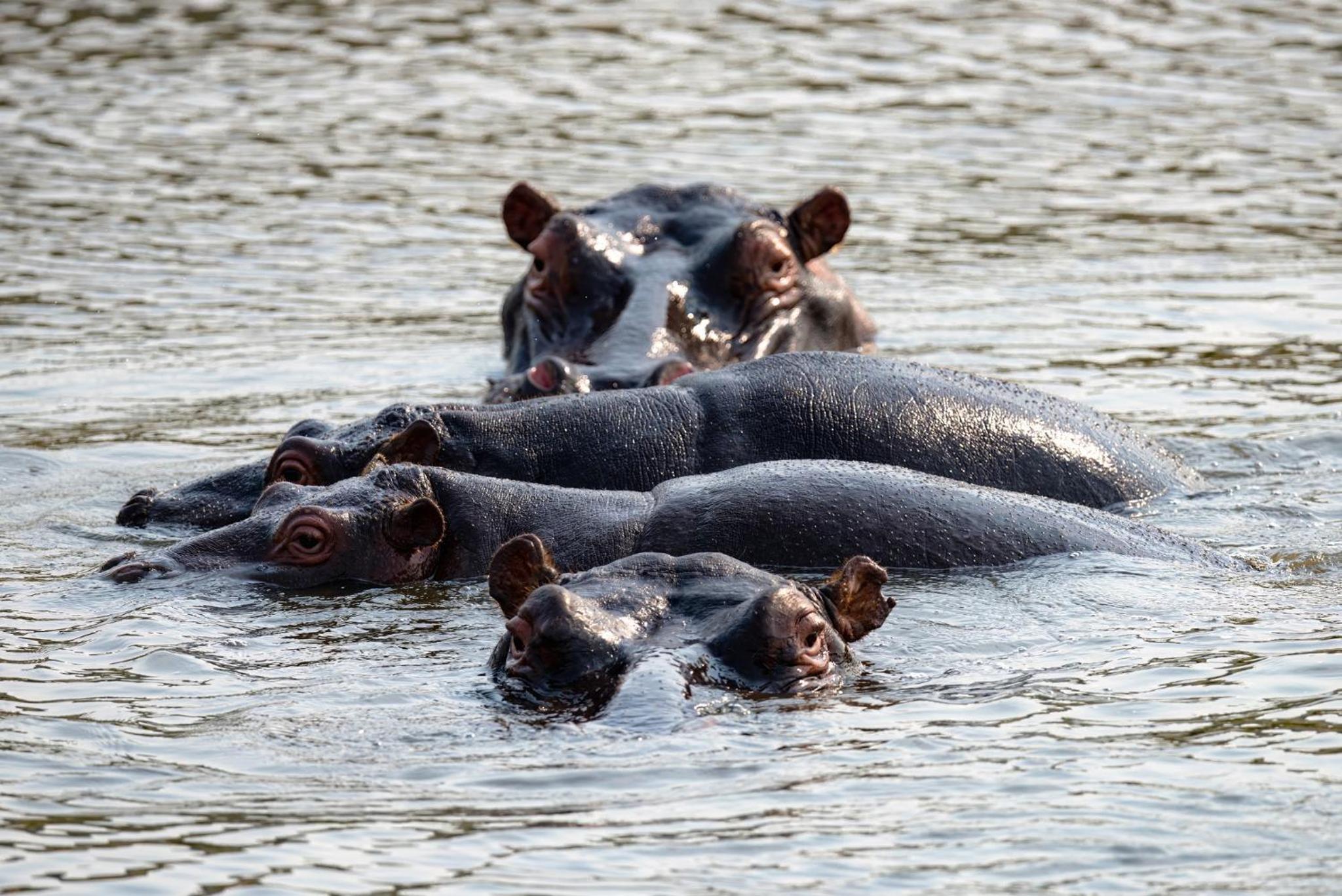 Valley Lodge - Babanango Game Reserve