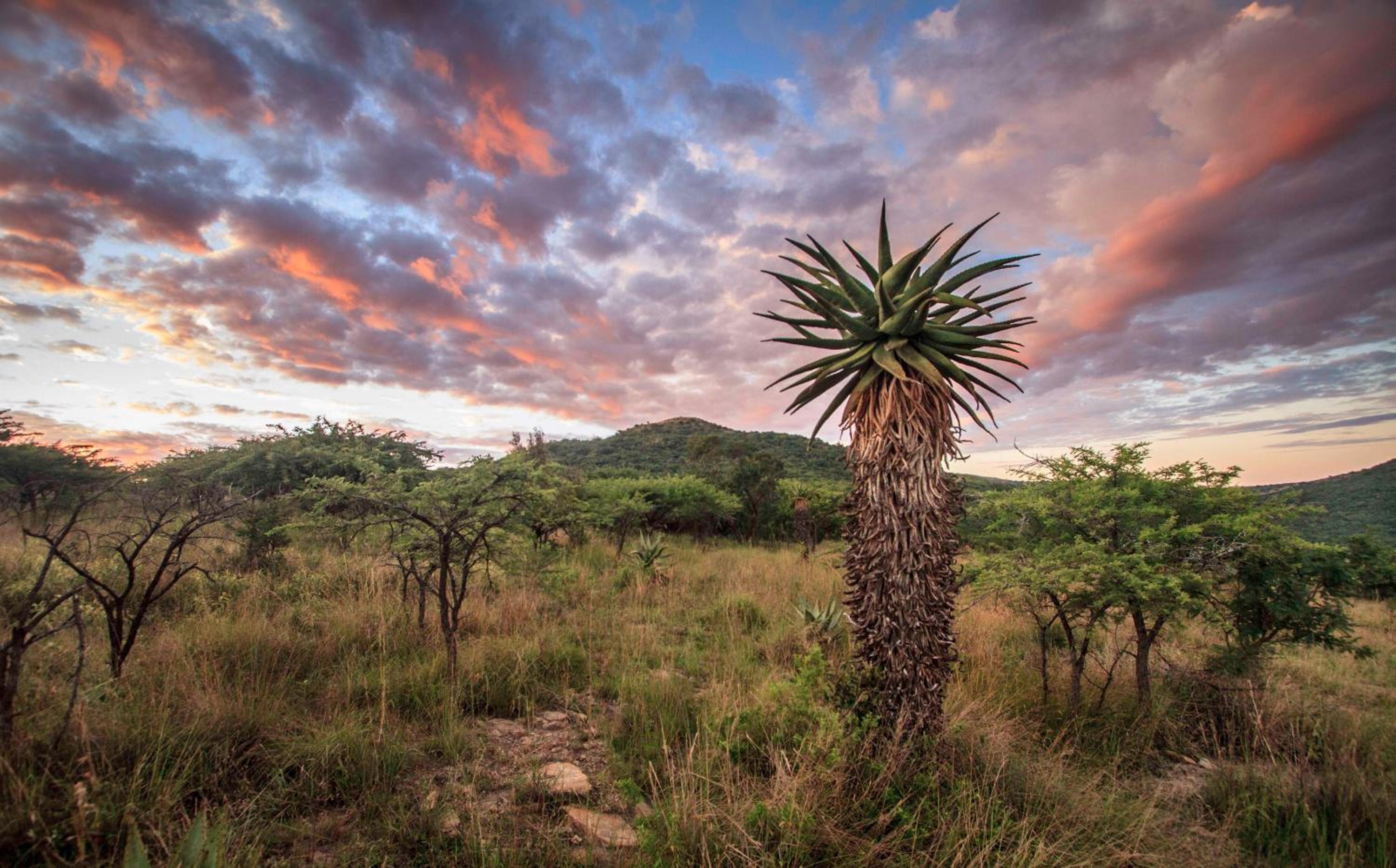 Valley Lodge - Babanango Game Reserve