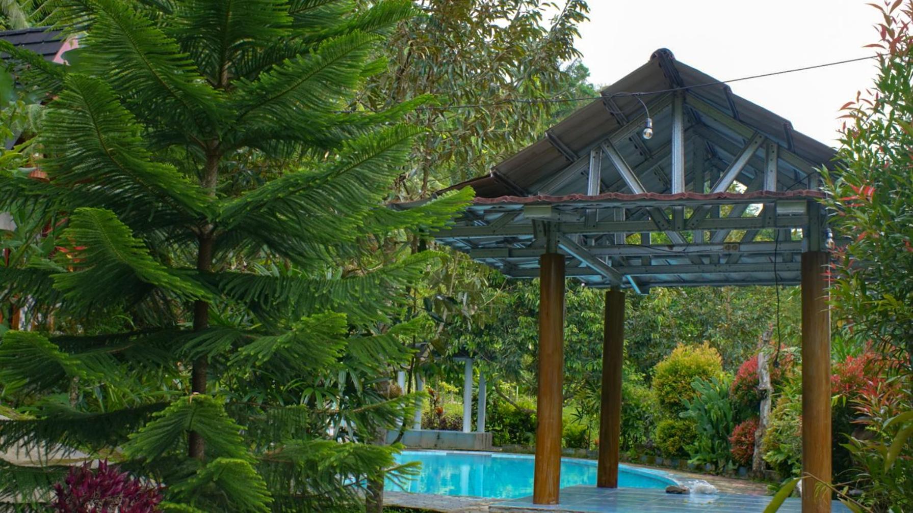 Goa Walet Cottage view 2