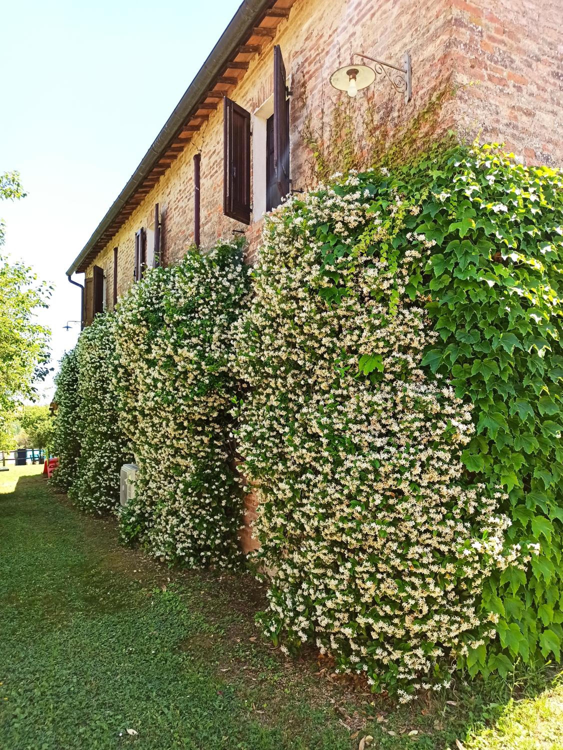 Podere Cartaio Bio Farm, private pool, AirC