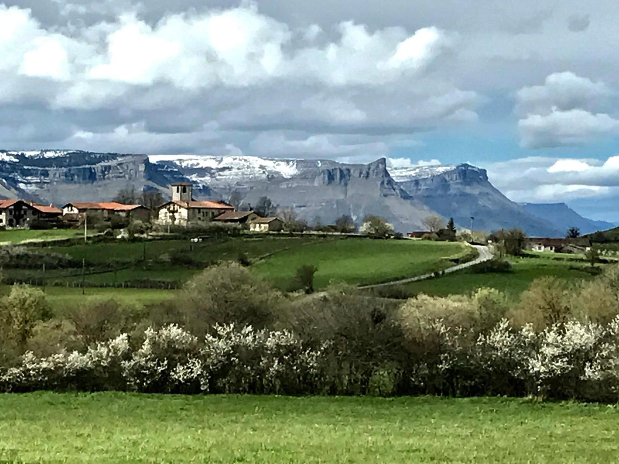 Casa Rural Ulle Gorri view 3