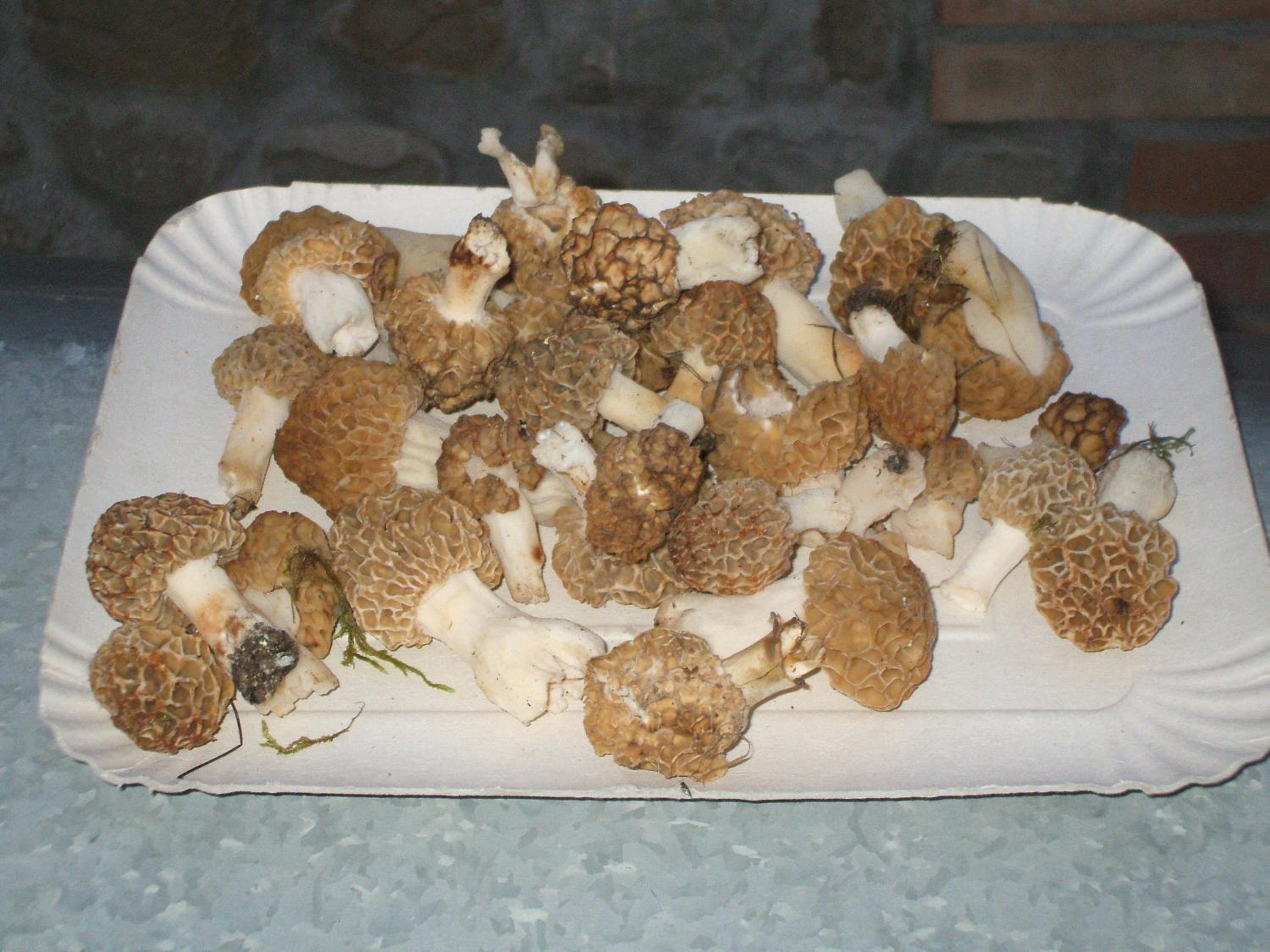 Photo 22