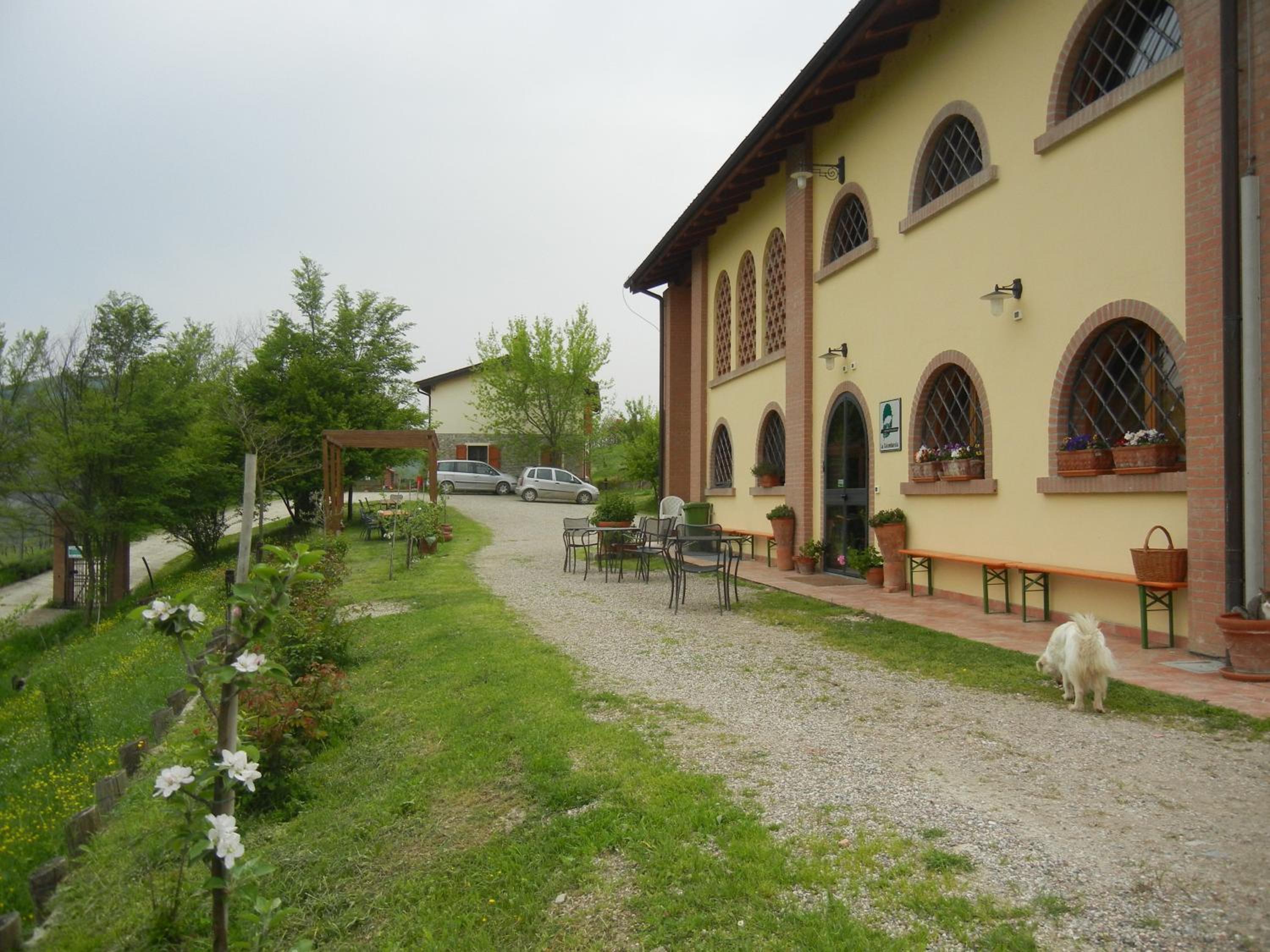 Photo 25