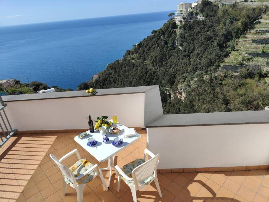 Piccola Perla photo 5