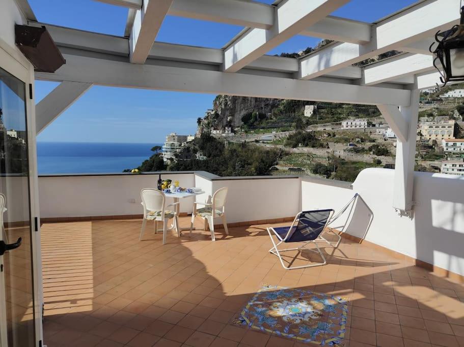 Piccola Perla photo 4