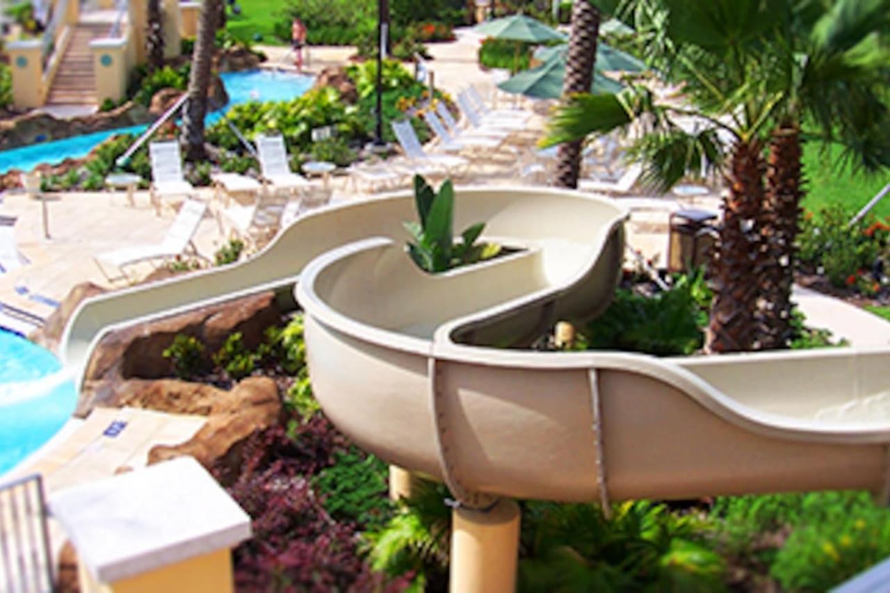 Enchanted Memories - Regal Palms Oasis