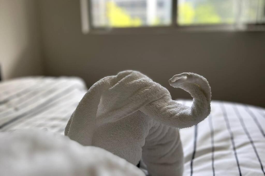 Convenient 1bedroom Apt, Mascot Central