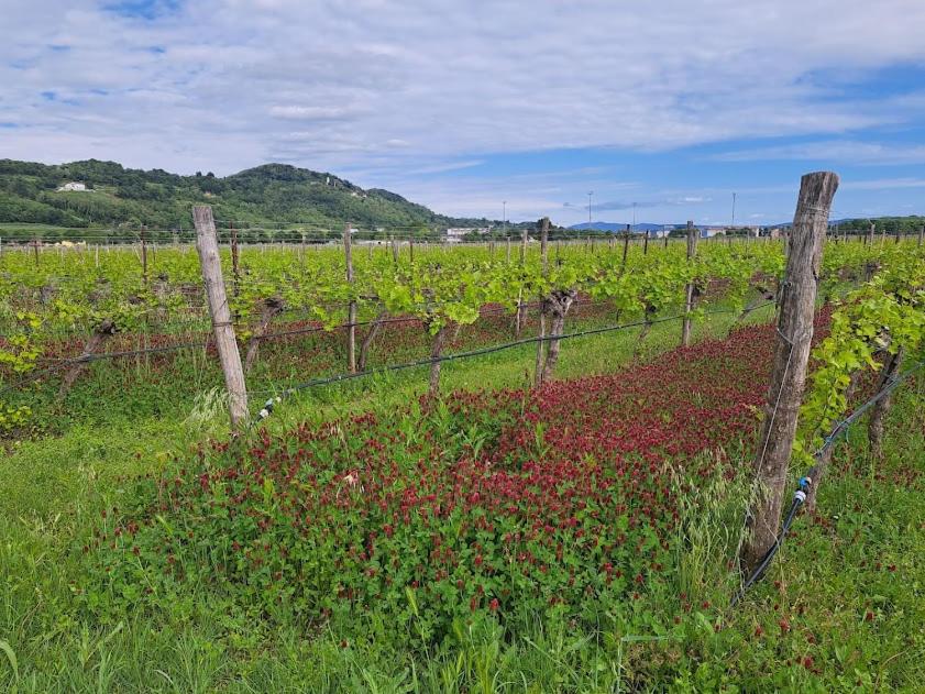 AGRITURISMO Casa Riz