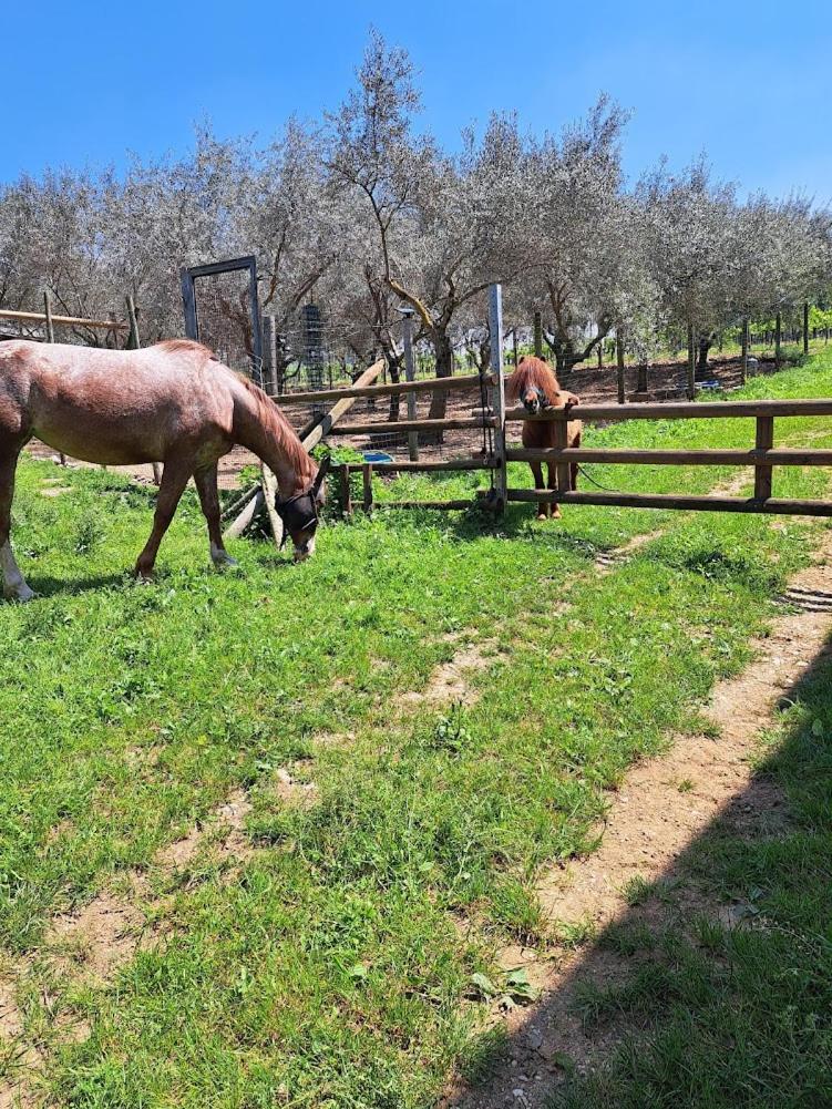 AGRITURISMO Casa Riz