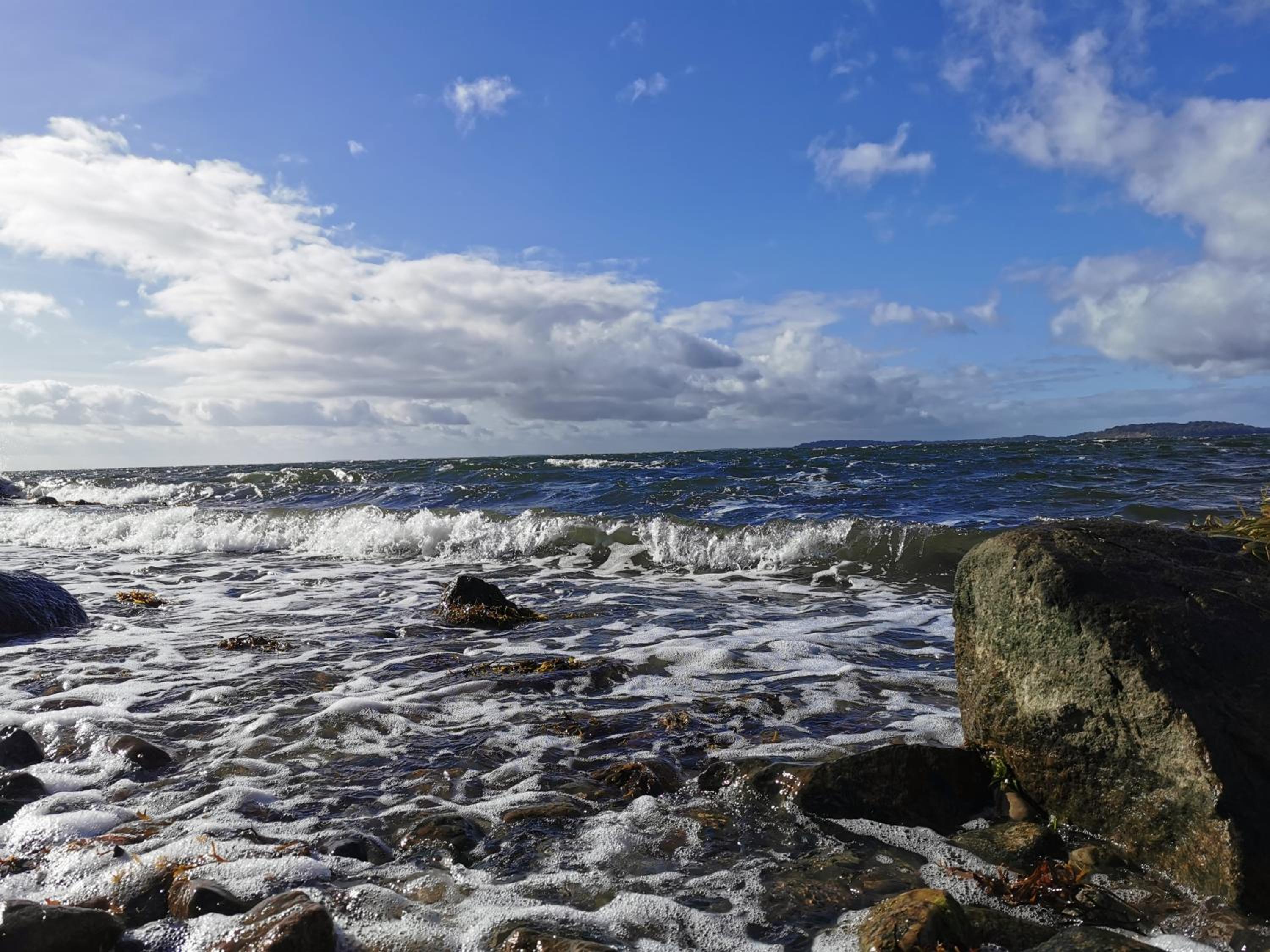 Reetdach Ferienhäuser