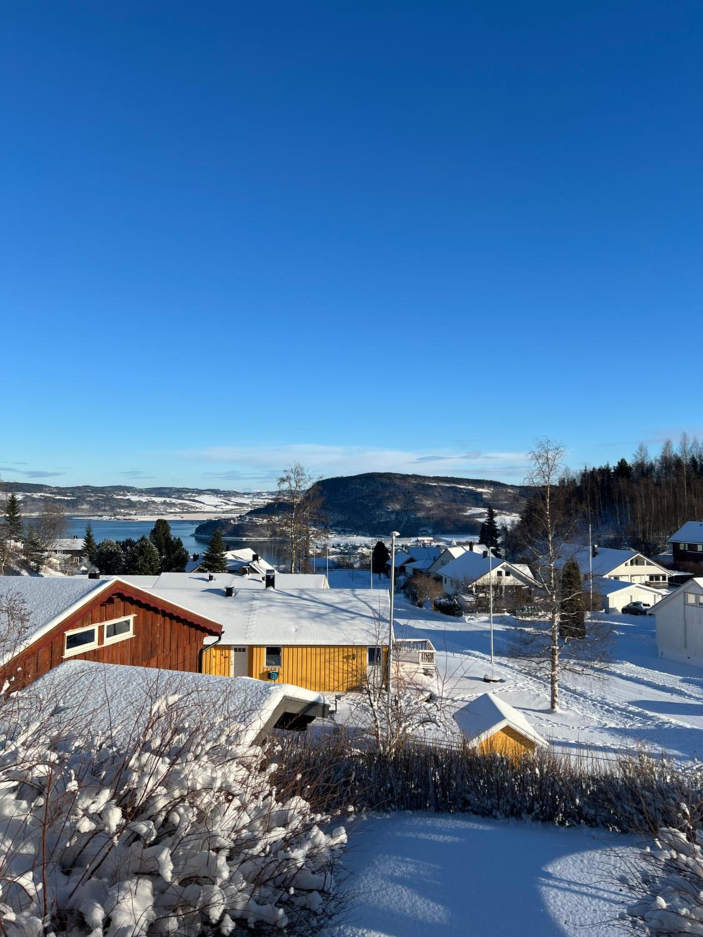 Buvika Panorama