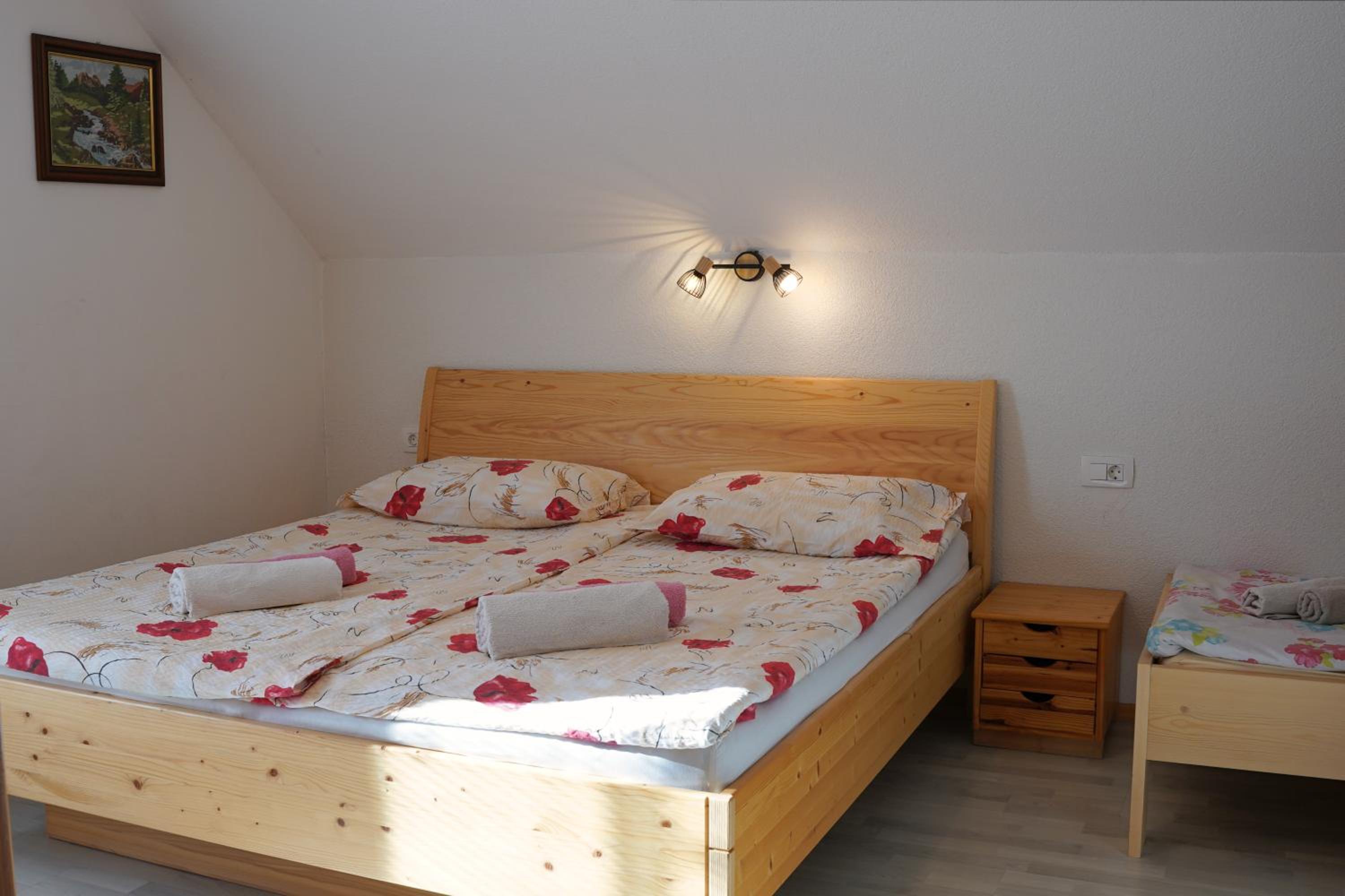 Apartmaji JOŠT view 2