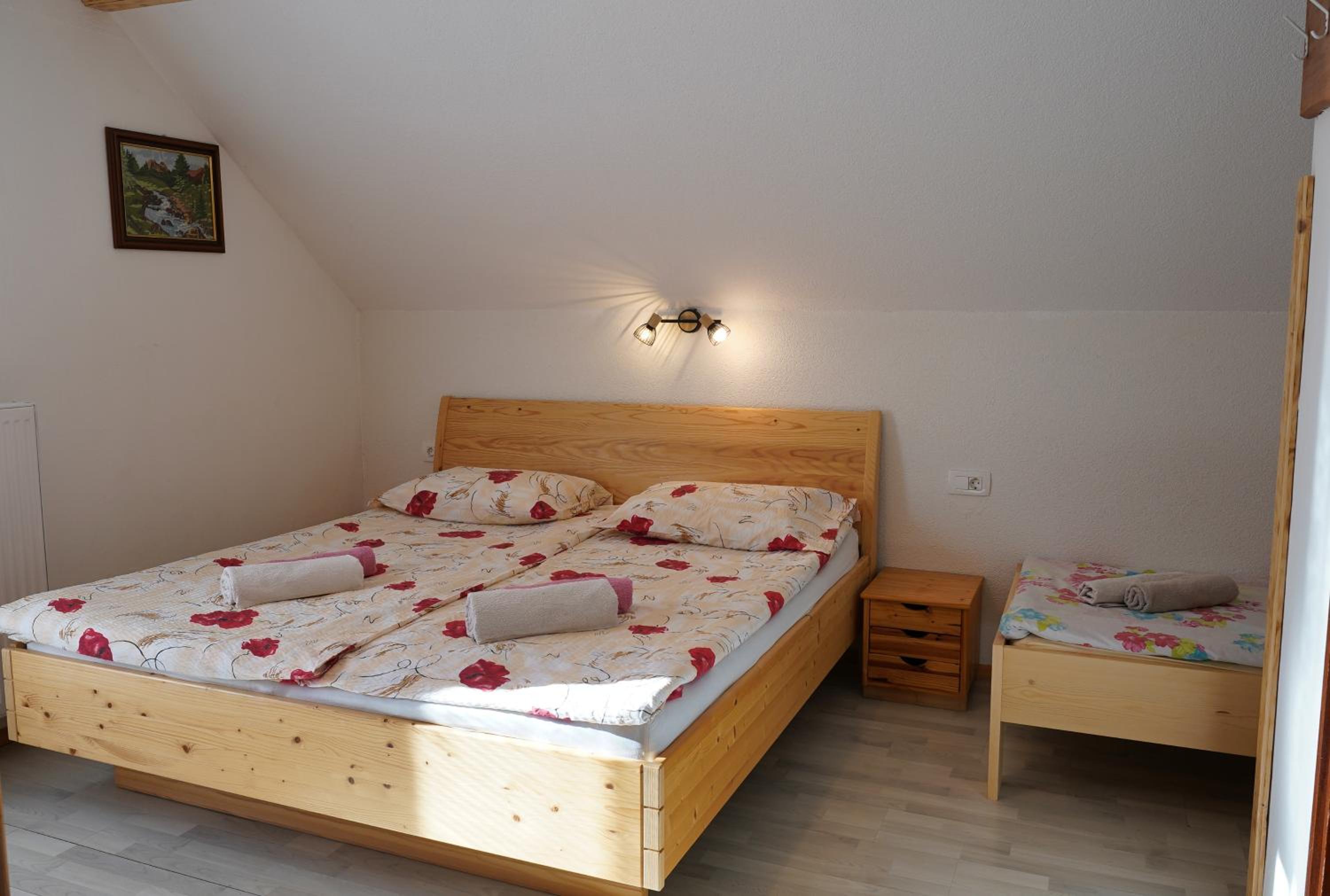 Apartmaji JOŠT view 3