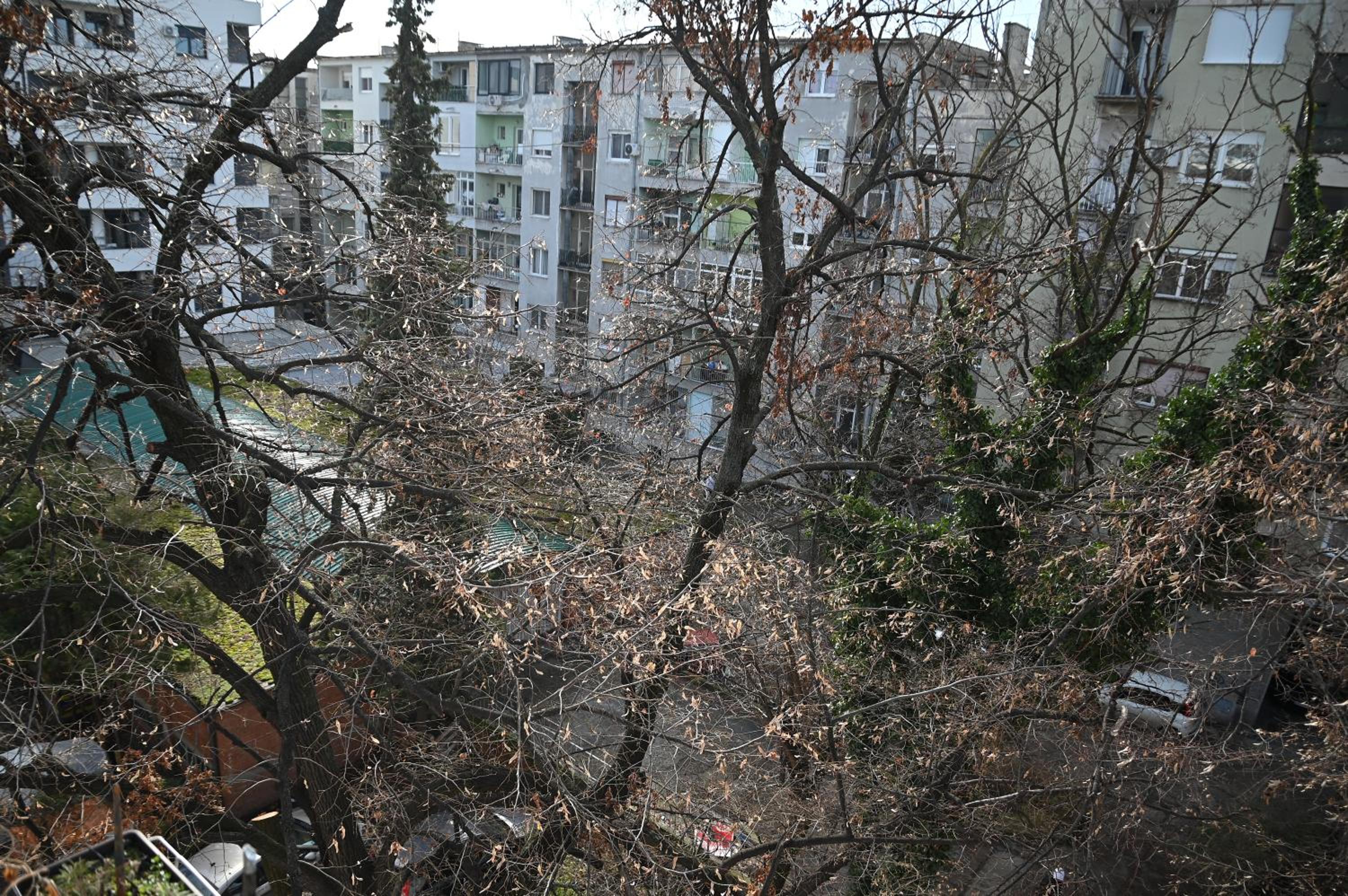 Photo 32