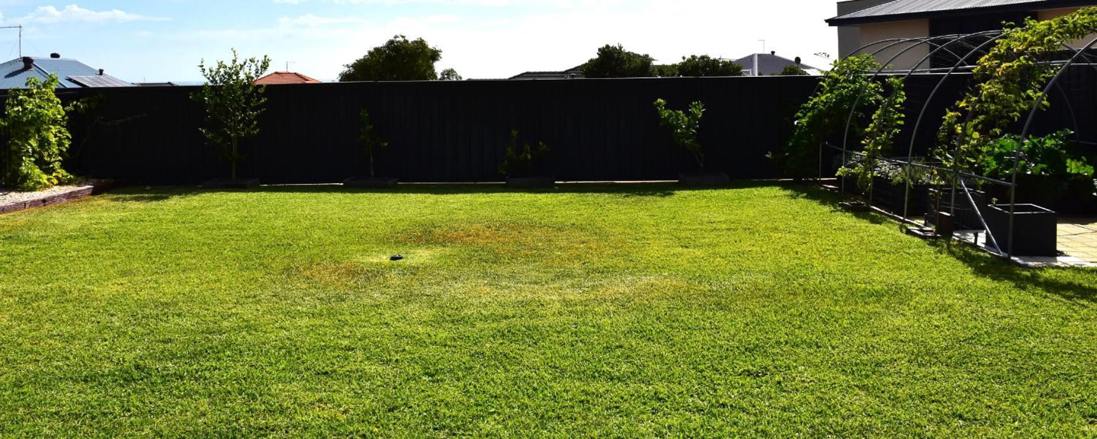 Lagoon Drive Yanchep