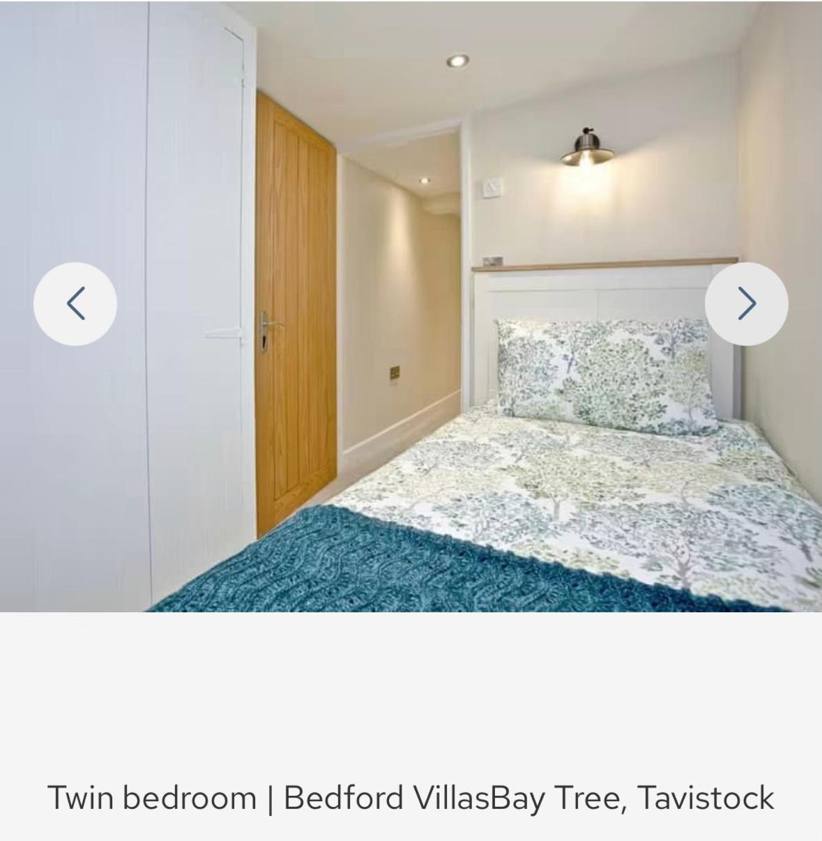 Bay Tree view 2