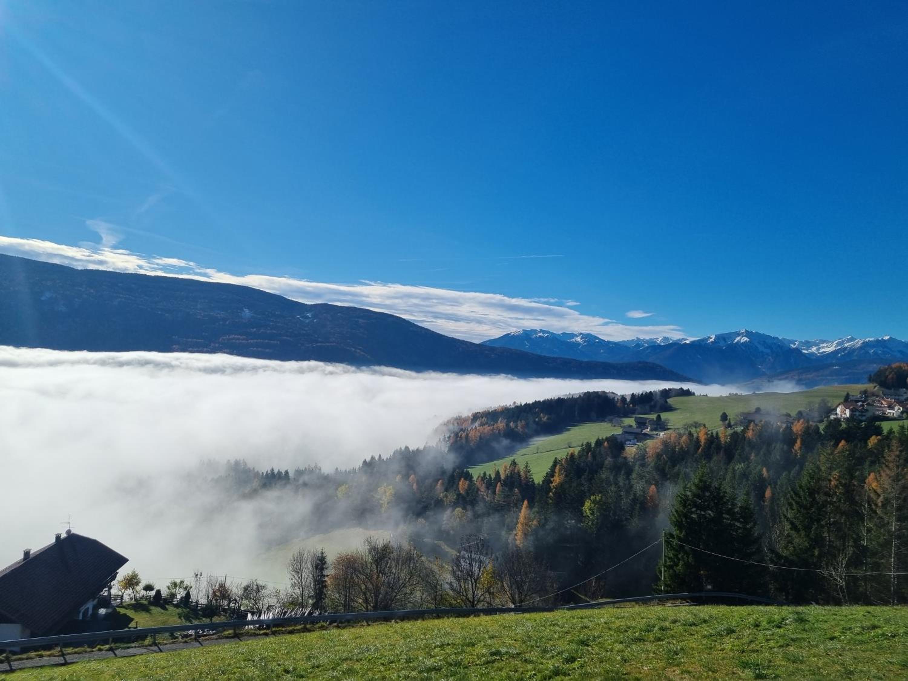 Perchnerhof