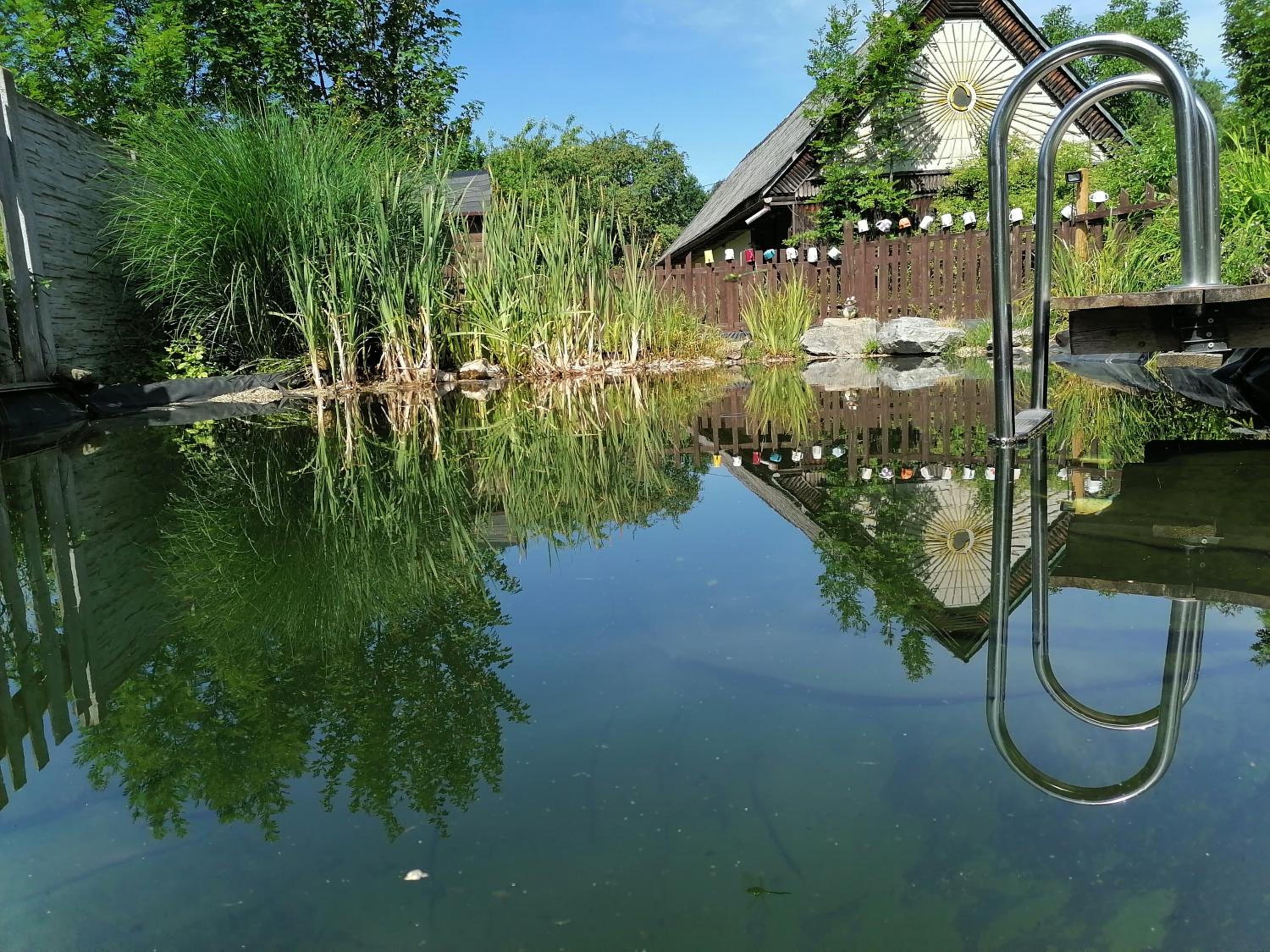 Photo 45