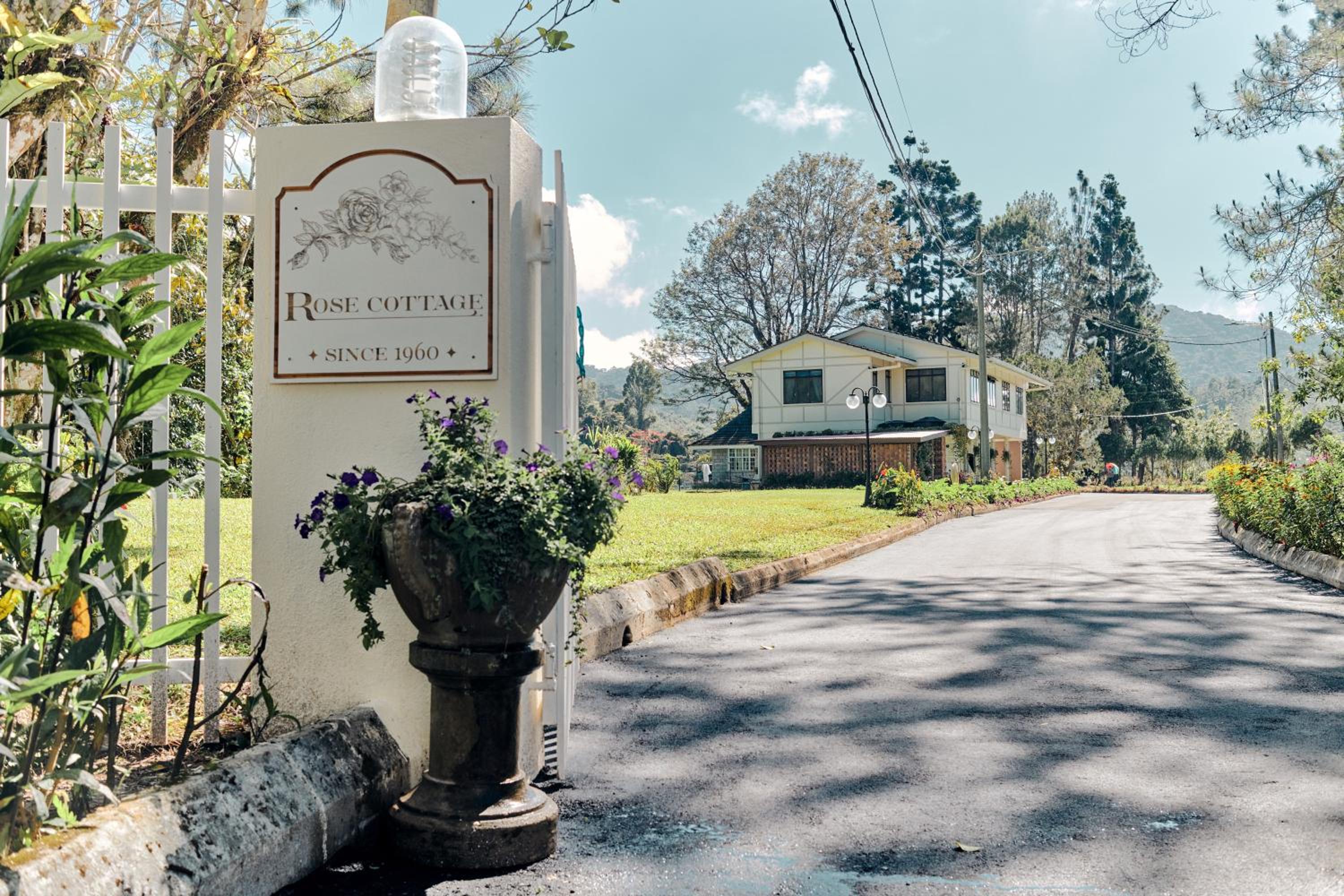 Rose Cottage by De'La Ferns photo 1