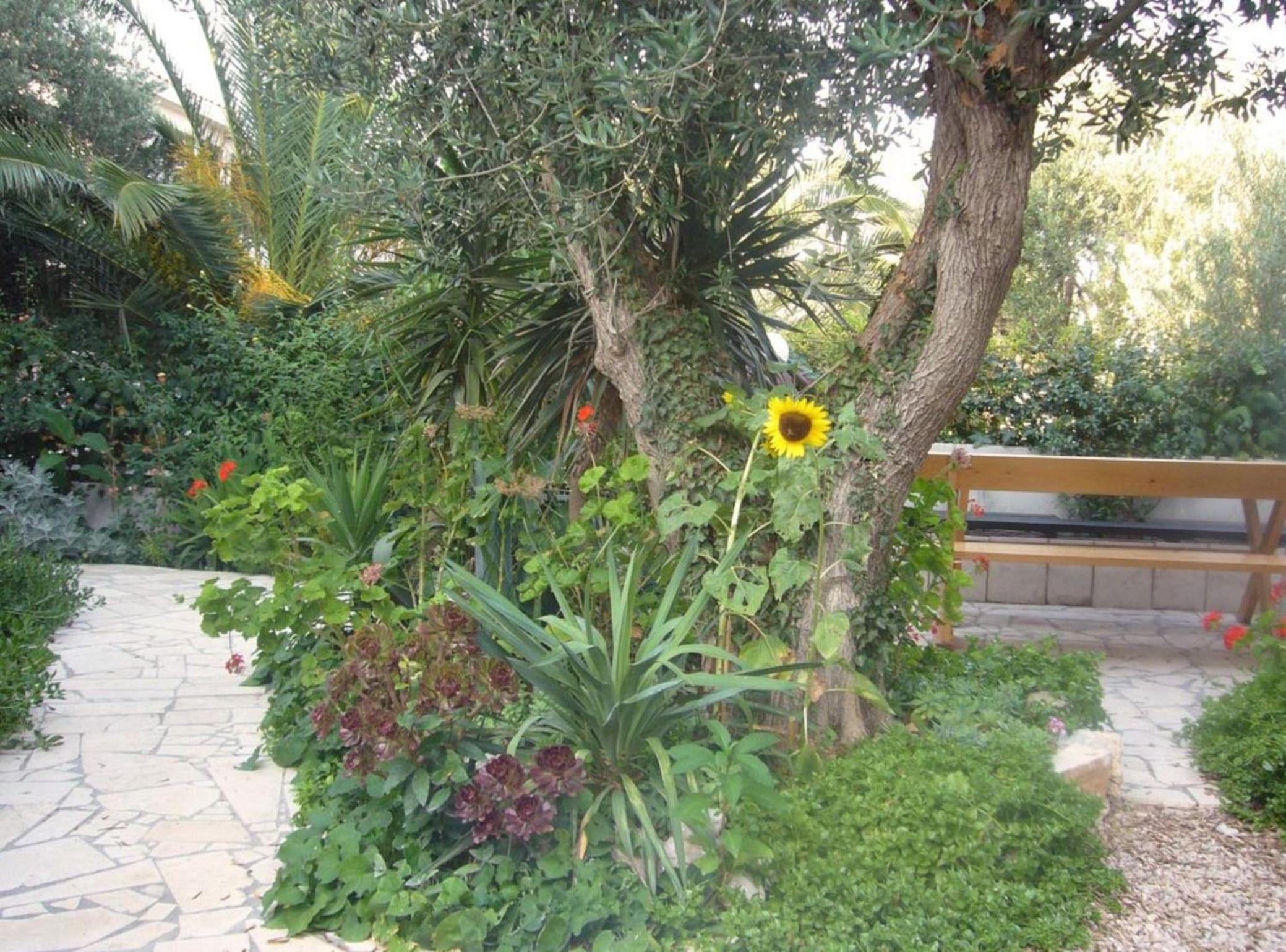 Apartments Antonio